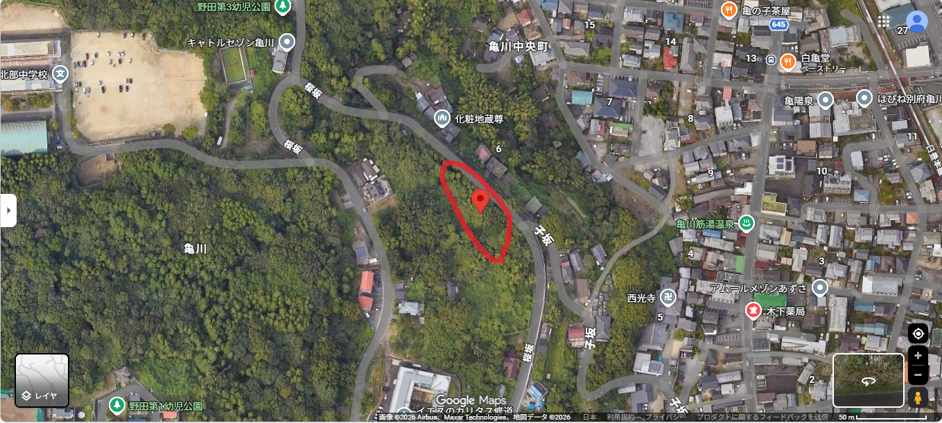 ＜画像掲載なし→編集から画像掲載＞大分県別府市亀山中央町の山林　約２３５坪　１００万円
