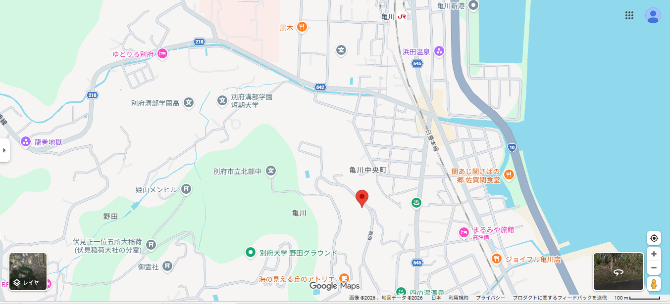 ＜画像掲載＞大分県別府市亀山中央町の山林　約２３５坪　１００万円