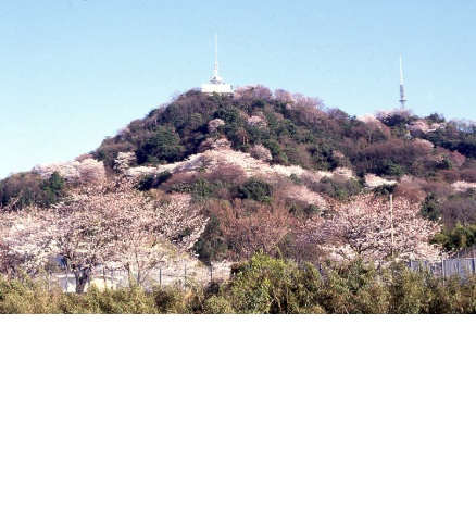 テスト　大阪府マンション