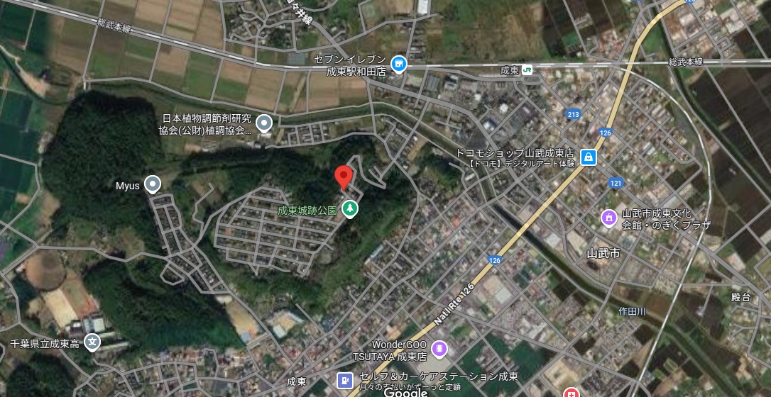 新潟県上越市の山林3筆　339㎡(約102坪）　住宅街の山林